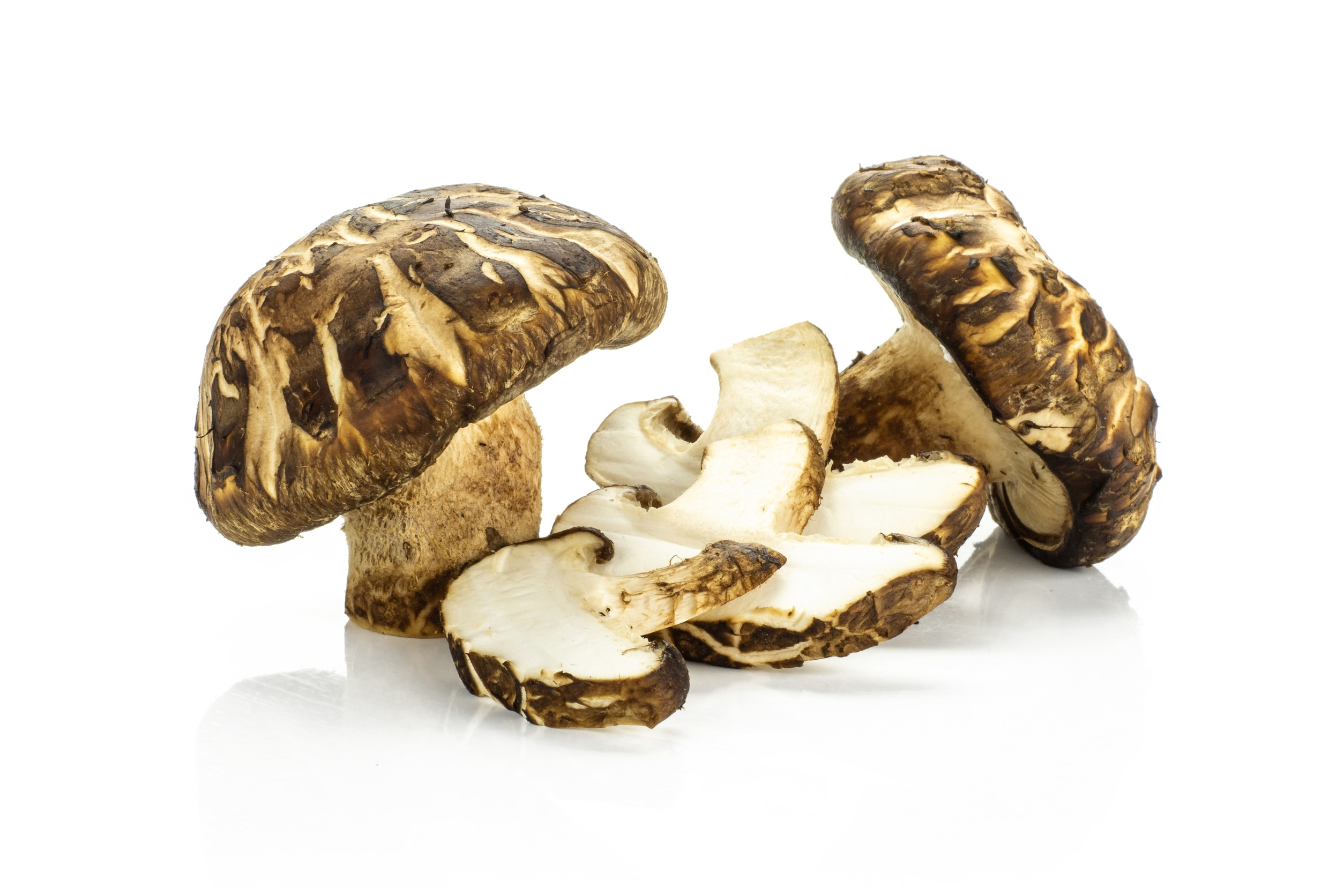 Ingredient: Shiitake Fruiting Body Extract